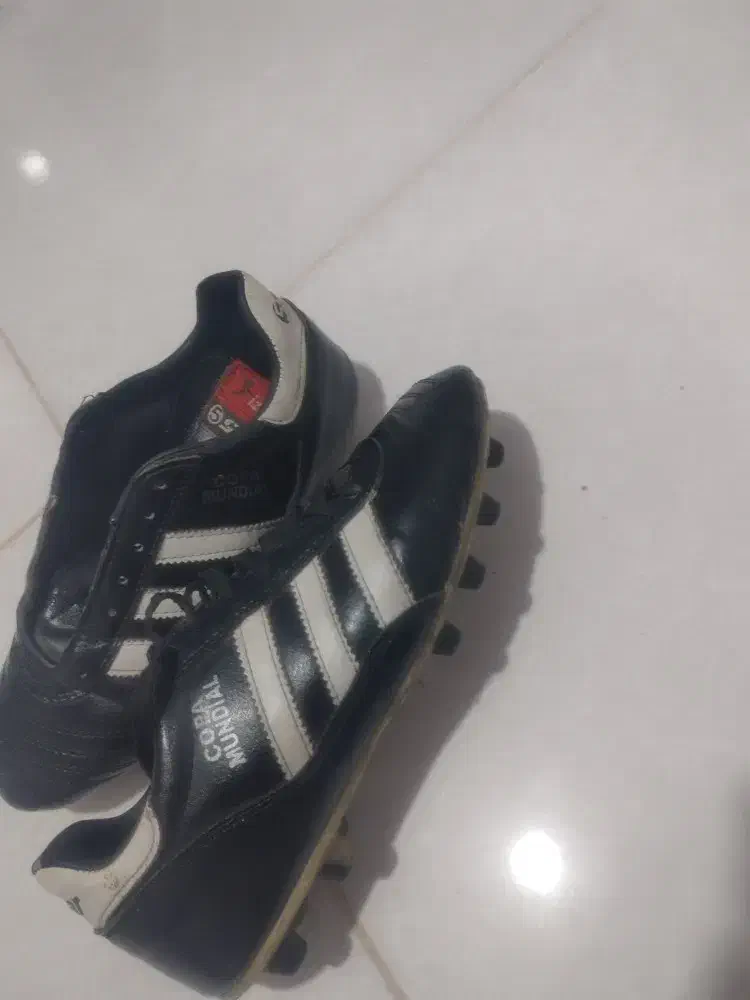 کفش چمن|ورزش‌های توپی|کرمان, |دیوار