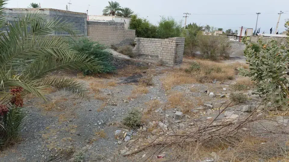 زمین سند دار|فروش زمین و ملک کلنگی|بیکاه, |دیوار