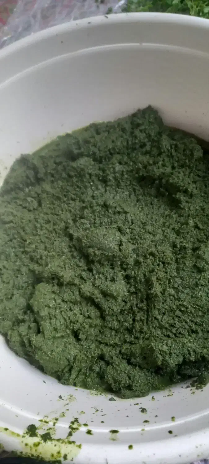 ترش واش باغ چای|خوردنی و آشامیدنی|کومله, |دیوار