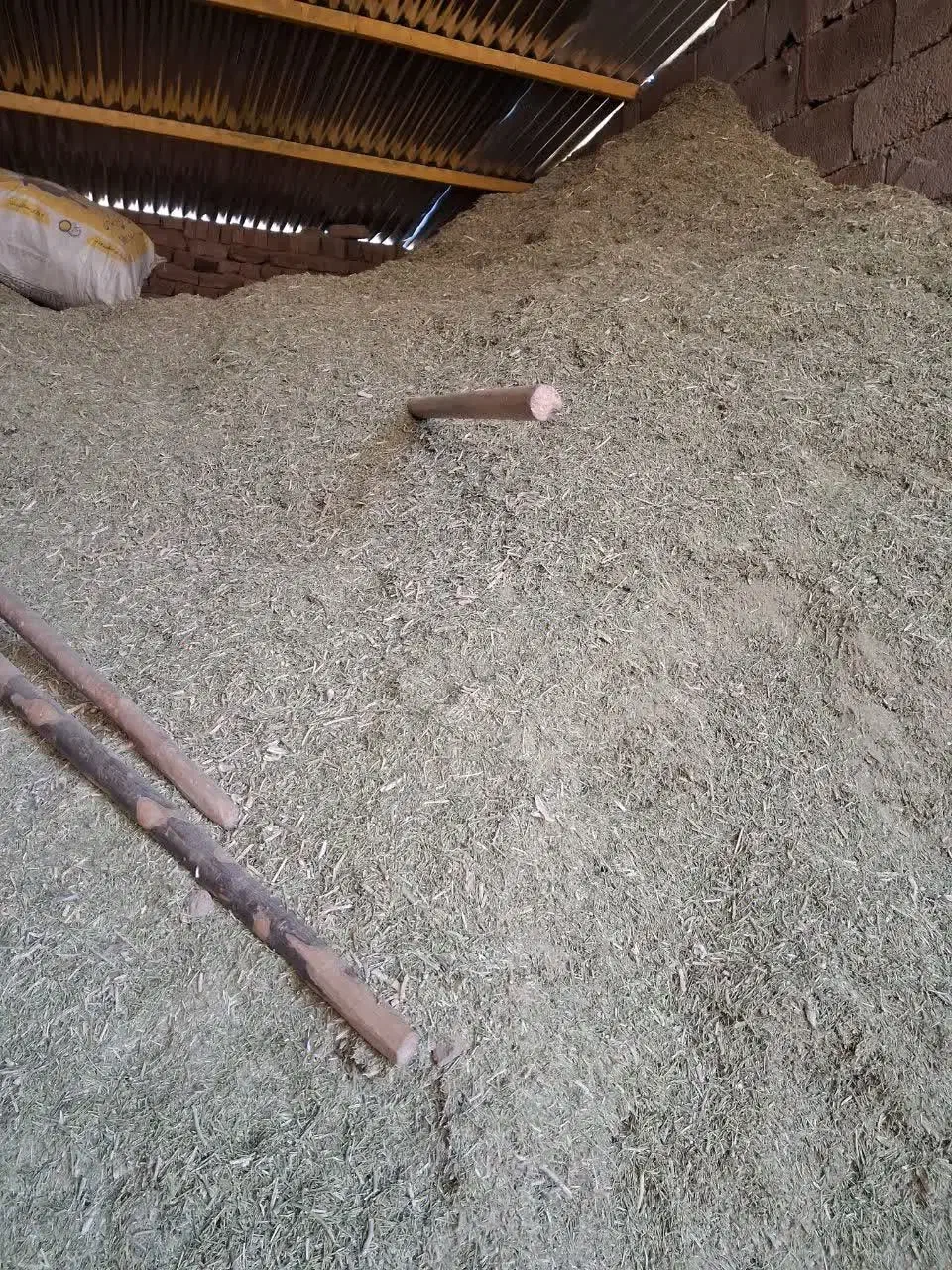 خارشتر|لوازم جانبی حیوانات|رضویه, |دیوار