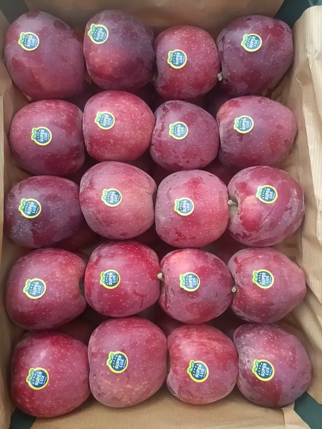 سیب قرمز|عمدهفروشی|مشگین شهر, |دیوار