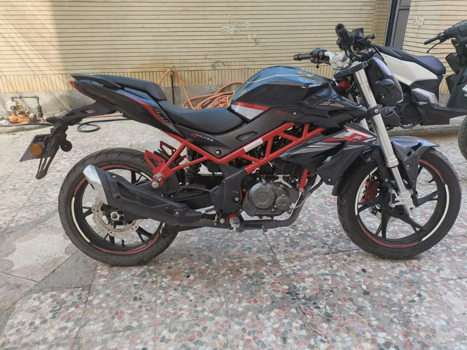 موتور بنلی 150|موتورسیکلت|چابهار, |دیوار