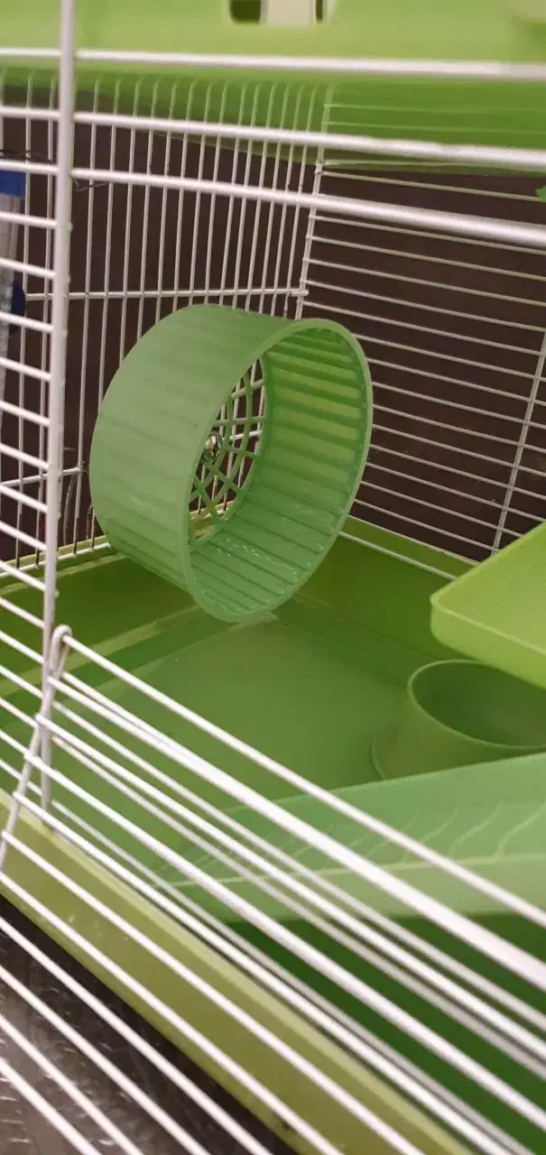 قفس همستر و پرنده|لوازم جانبی حیوانات|تهران, گیشا|دیوار