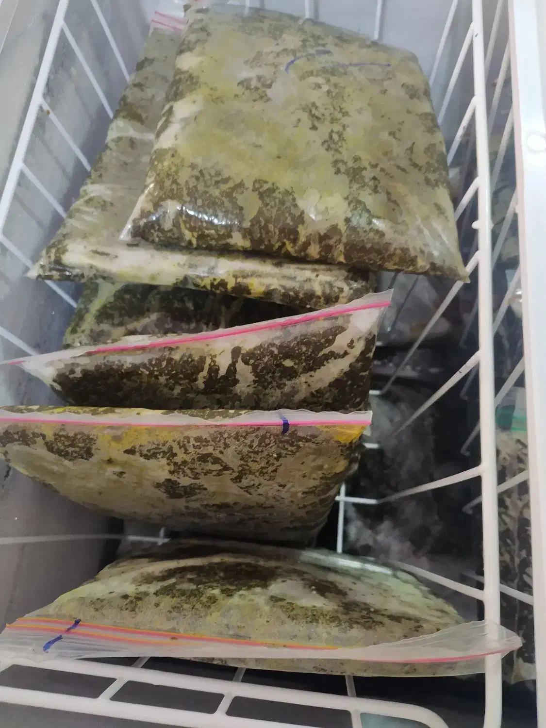 سبزی خورشتی جنوب|خوردنی و آشامیدنی|قم, پردیسان|دیوار