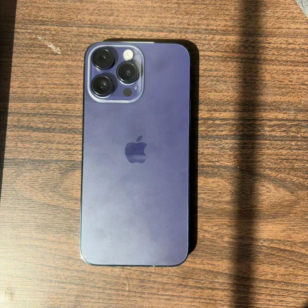 iphone 14 pro max|موبایل|شیراز, شیخ روزبهان|دیوار