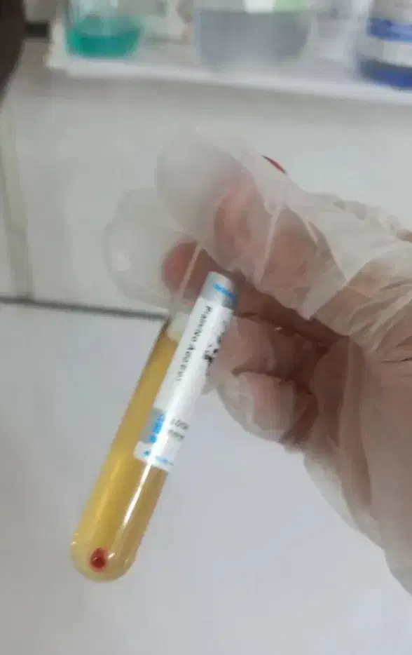 خدمات زیبایی بانوان و دوشیزگان|خدمات آرایشگری و زیبایی|ایذه, |دیوار