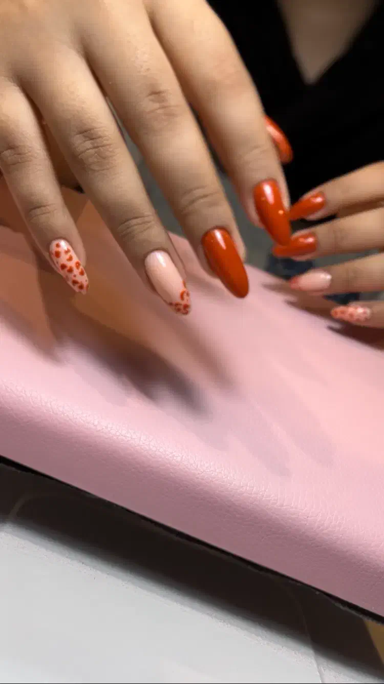 مدل رایگان کاشت و ترمیم و طراحی|خدمات آرایشگری و زیبایی|بابلسر, |دیوار