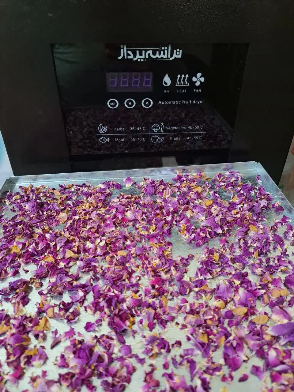 دستگاه میوه و سبزی و لواشک خشک کن تراشه پرداز|سایر لوازم برقی|تهران, بازار|دیوار