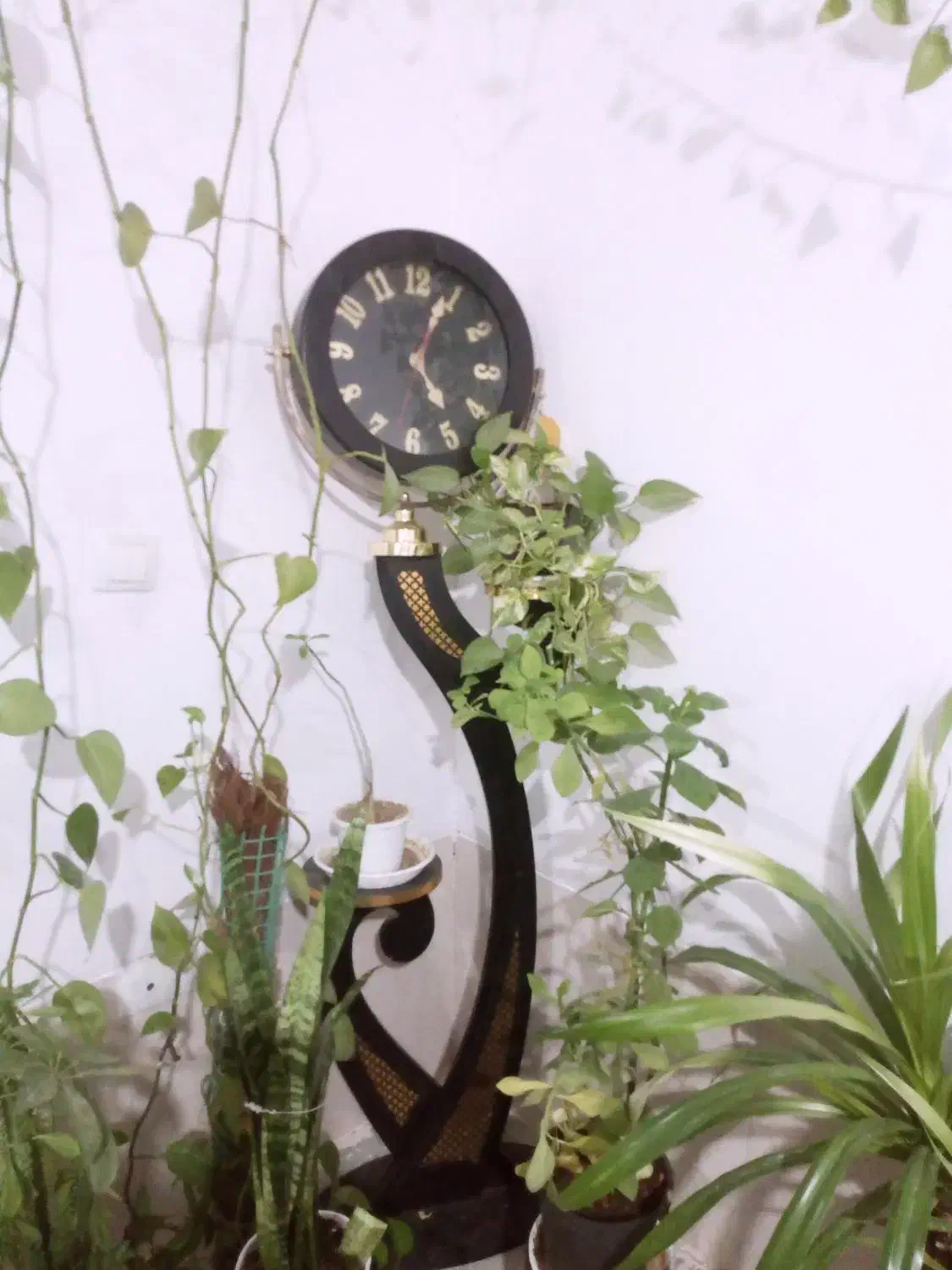 ساعت ایستاده|ساعت دیواری و تزئینی|فسا, |دیوار