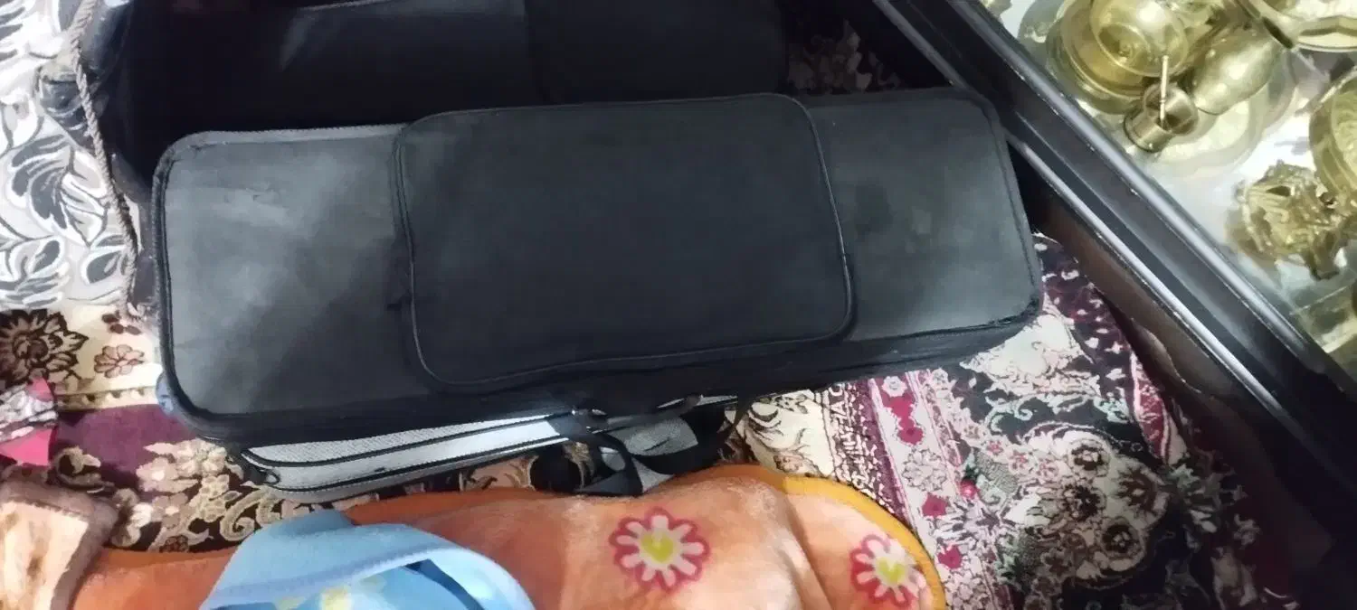 کیف ویولن|ویولن|تبریز, |دیوار