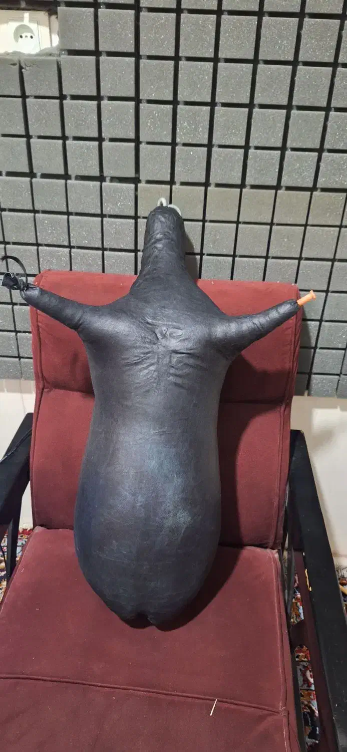 نی انبان|سازهای بادی|شیراز, بهارستان|دیوار