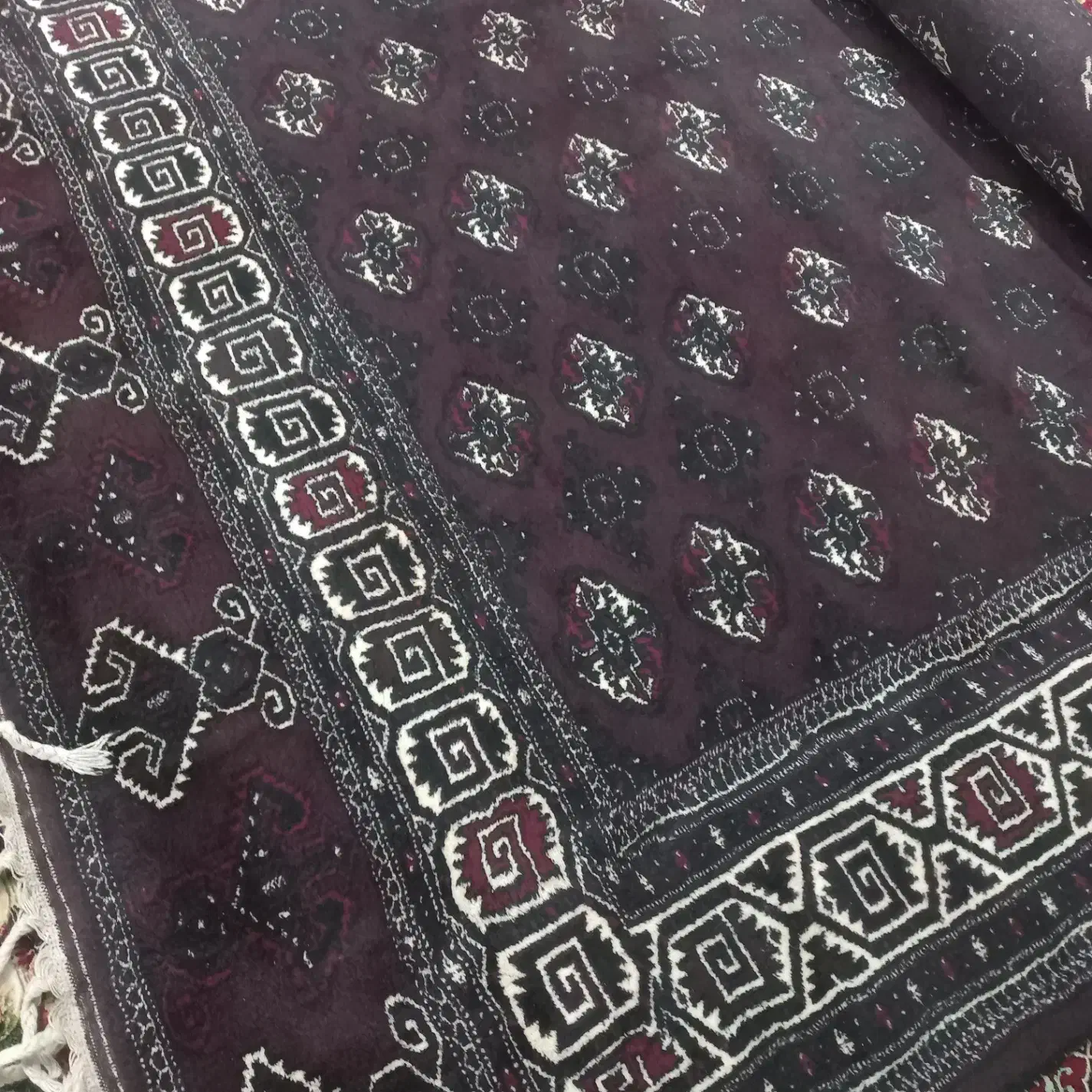 لوازم خانه|فرش|گنبد کاووس, |دیوار