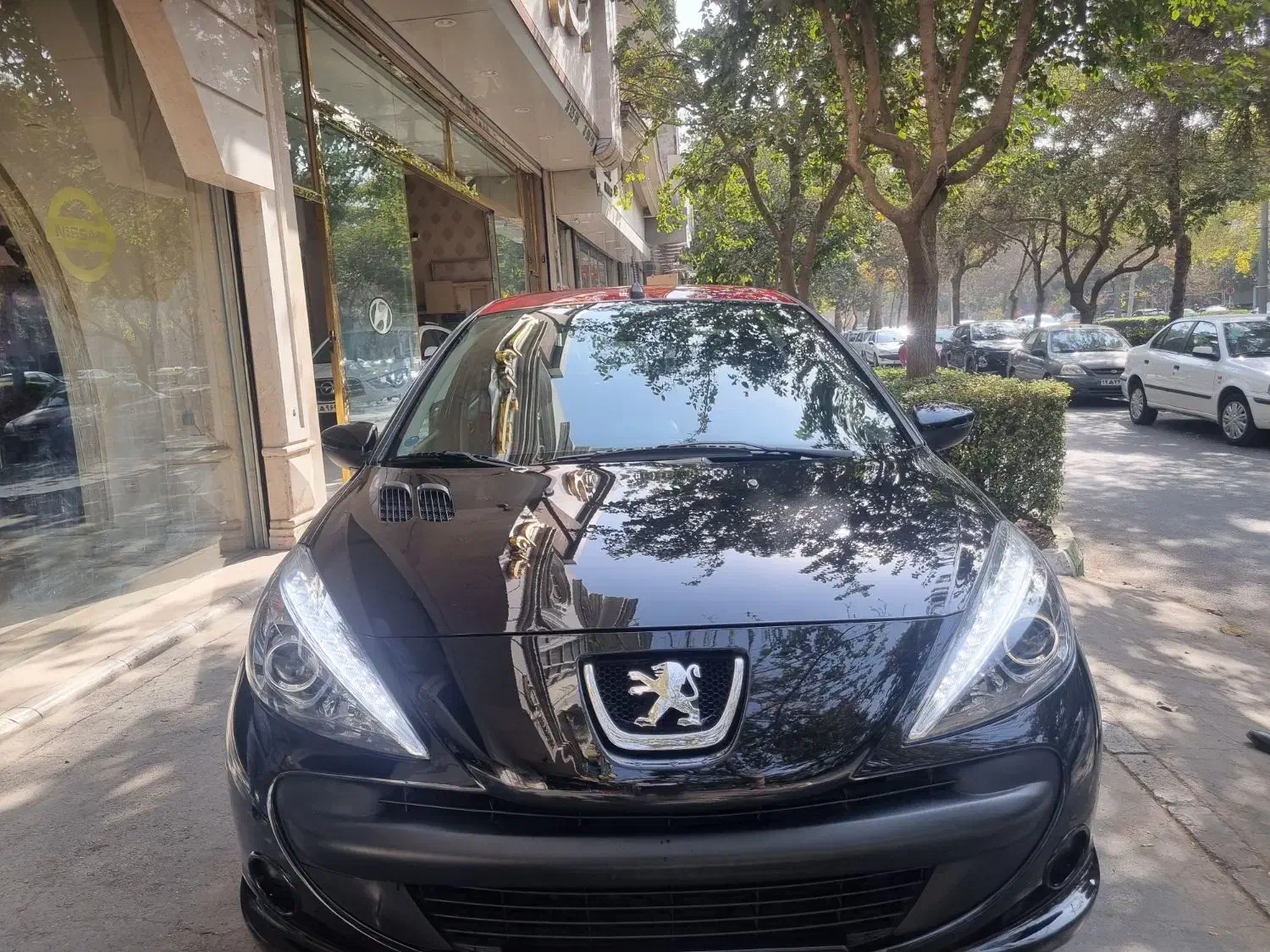 ۲۰۷ mc|خودرو سواری و وانت|مشهد, امام رضا (ع)|دیوار