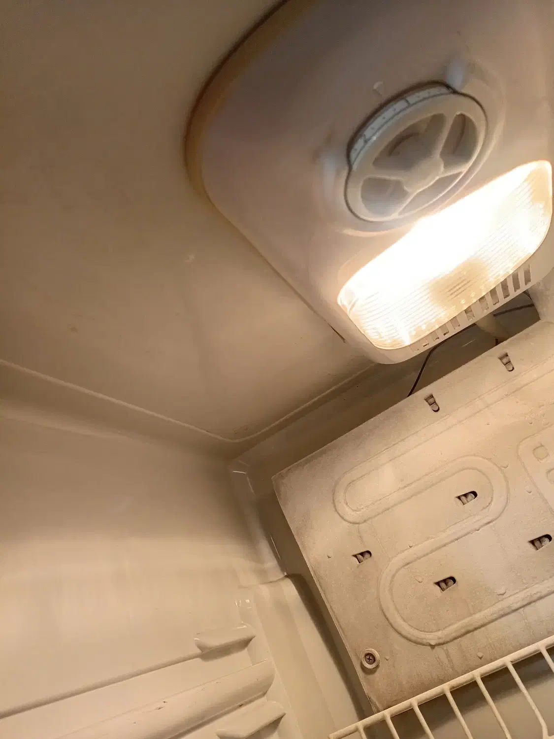 یخچال|یخچال و فریزر|رشت, استقامت ۲|دیوار