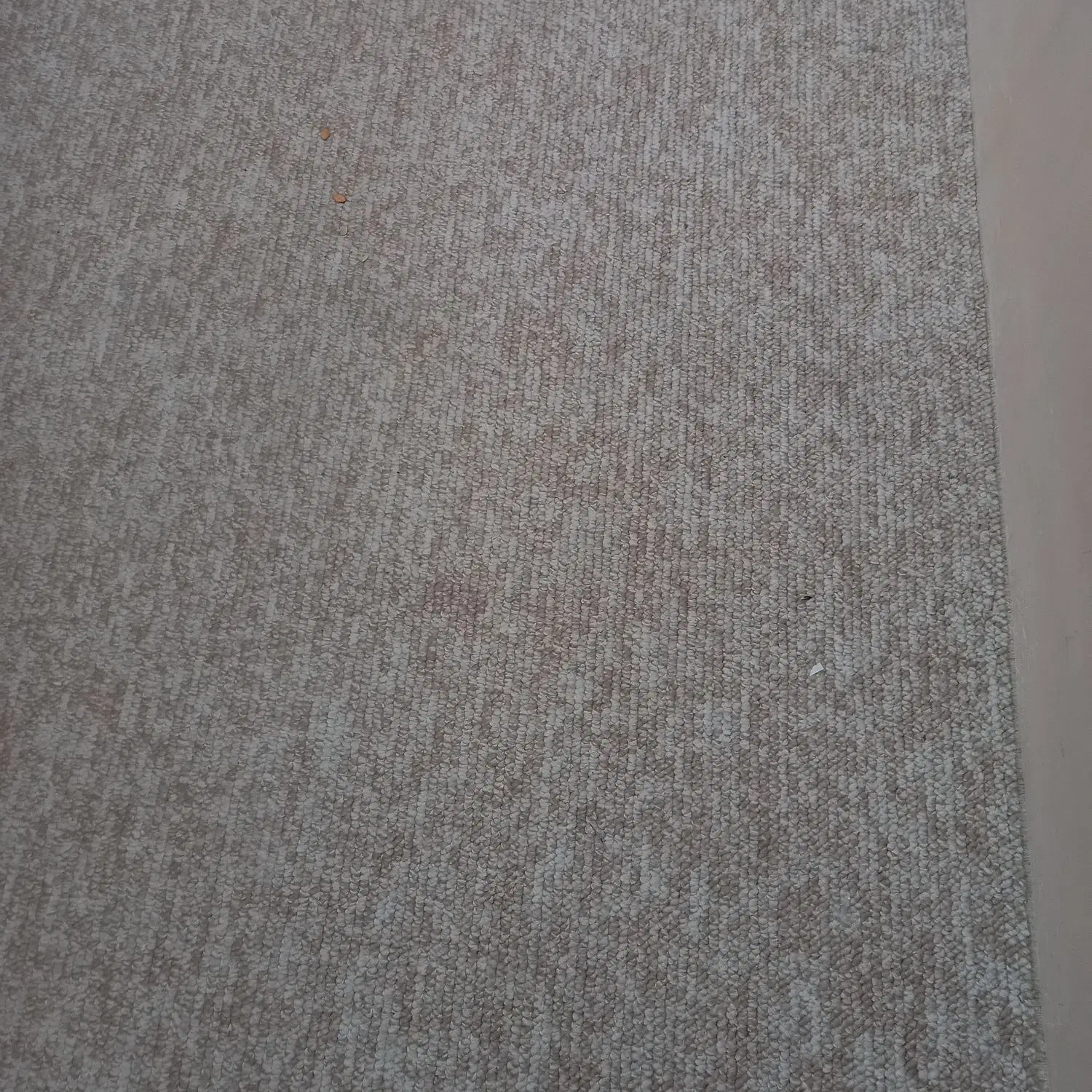 موکت پالاز طرح پامچال|موکت|شاهرود, |دیوار