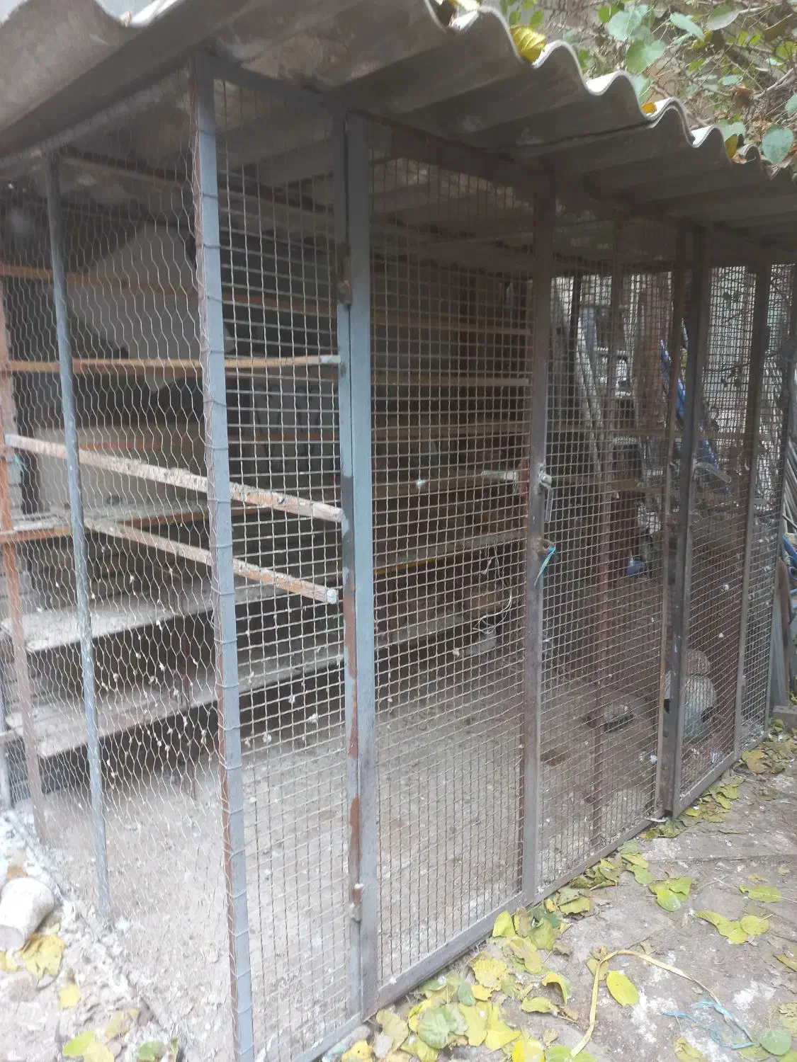 گنجه کفتر|لوازم جانبی حیوانات|تهران, قیام|دیوار