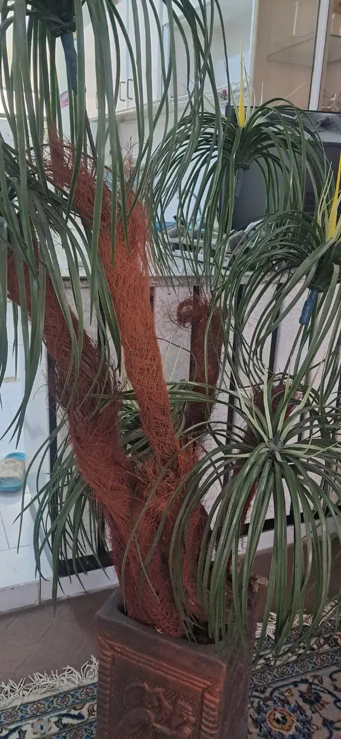 نخل مصنوعی|گل مصنوعی|اصفهان, جلالیه|دیوار