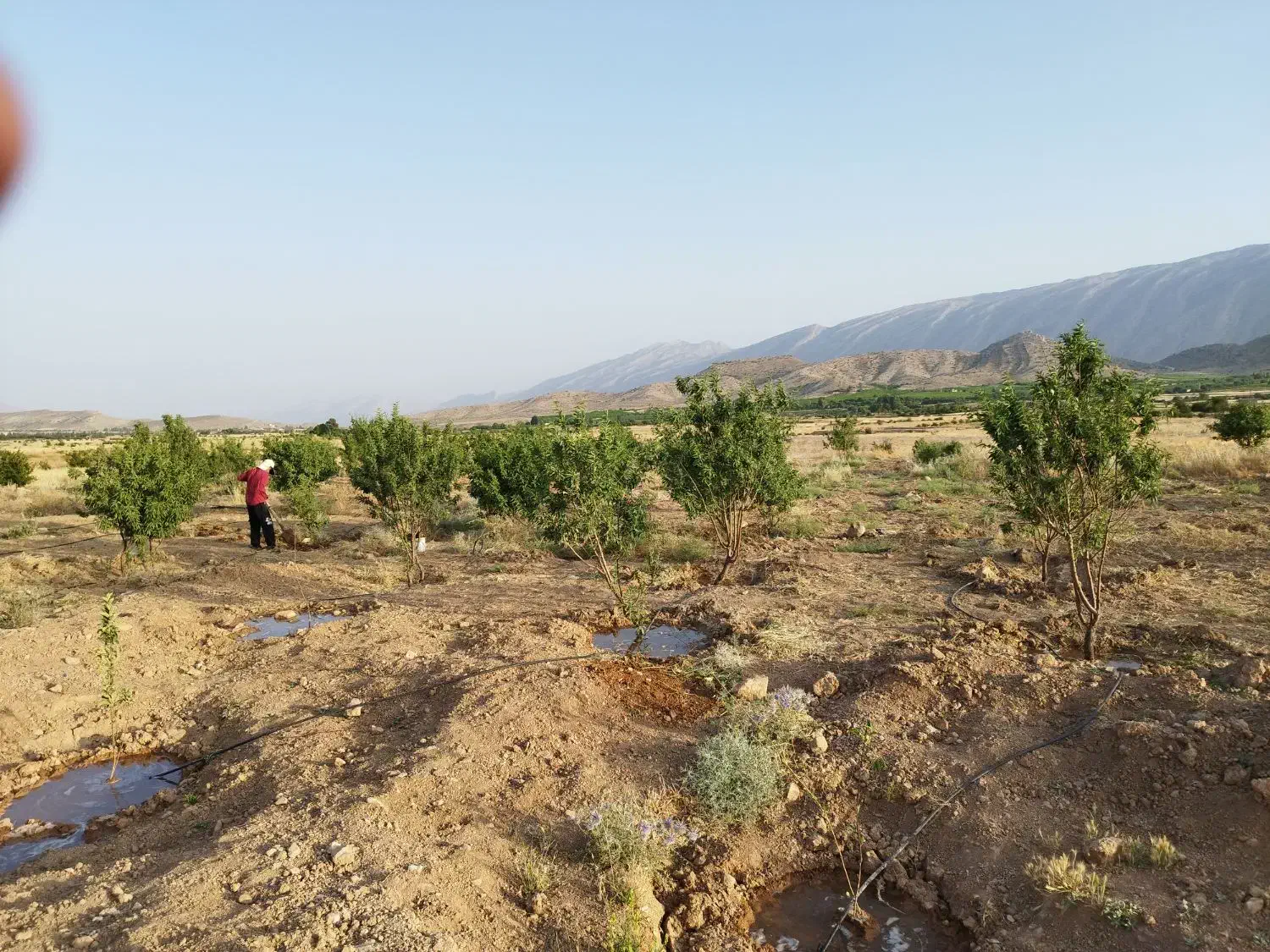 باغچه ۳۵۰۰متری واقع در شبانکاره میمند|فروش زمین و ملک کلنگی|میمند, |دیوار