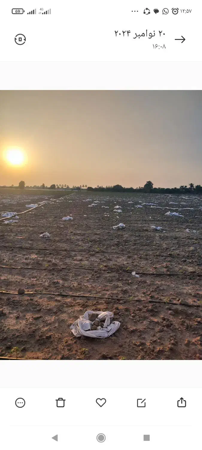 اجاره سه هکتار زمین کشاورزی با امتیاز آب چاه|اجارهٔ دفتر صنعتی، کشاورزی، تجاری|میناب, |دیوار
