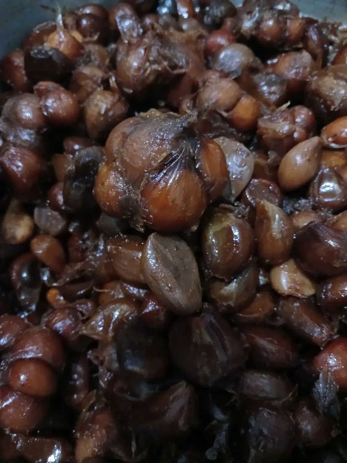 سیر ترشی ۸ ساله|خوردنی و آشامیدنی|قم, صفائیه|دیوار