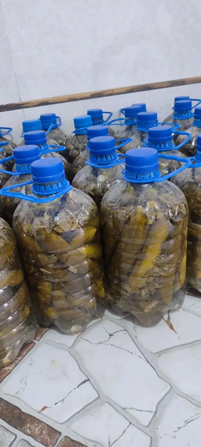 خیار شور خانگی درجه 1|خوردنی و آشامیدنی|مهاباد (آذربایجان غربی), |دیوار