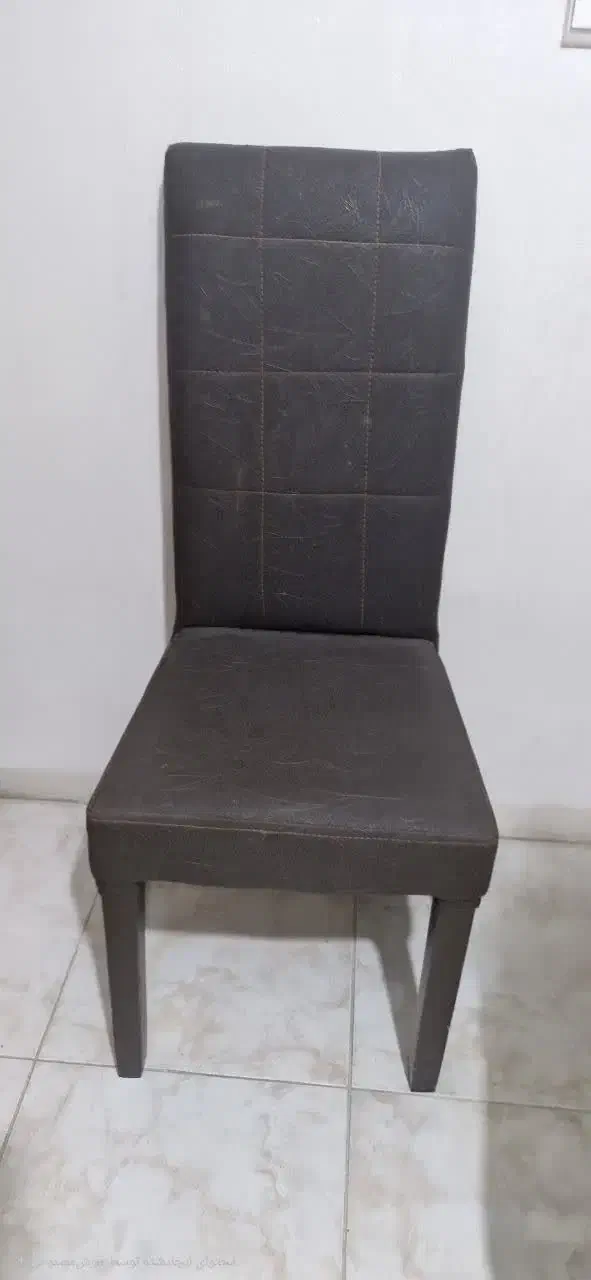 صندلی چرم|میز و صندلی غذاخوری|مشکیندشت, |دیوار
