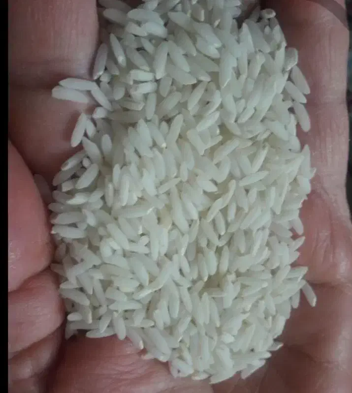 برنج دورود|خوردنی و آشامیدنی|تهران, یافت آباد شمالی|دیوار