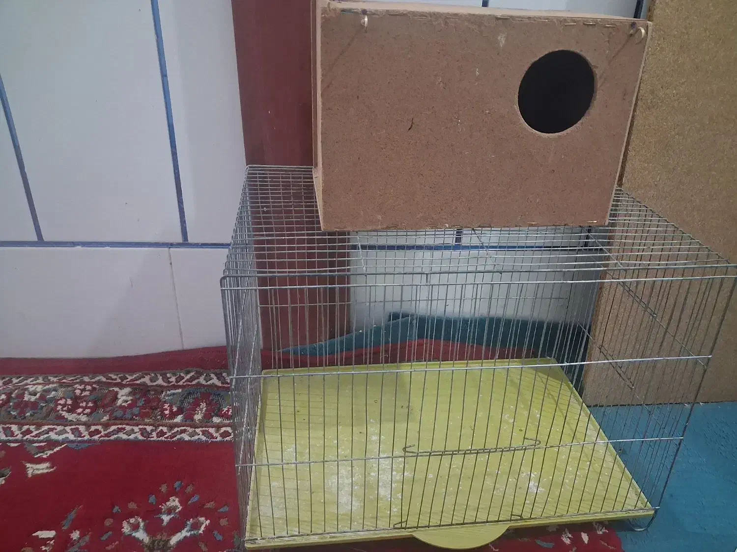 قفس|لوازم جانبی حیوانات|داراب, |دیوار