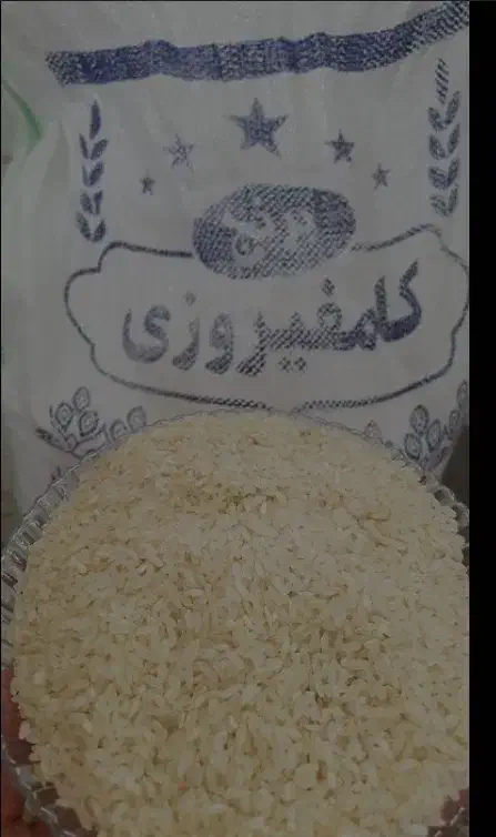 برنج کامفیروزی|خوردنی و آشامیدنی|شیراز, گویم|دیوار