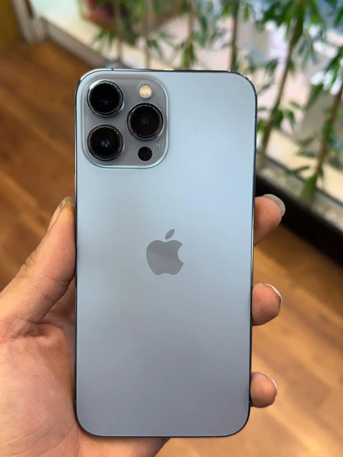 iPhone 13 Pro Max|موبایل|کرج, اصفهانی‌ها|دیوار