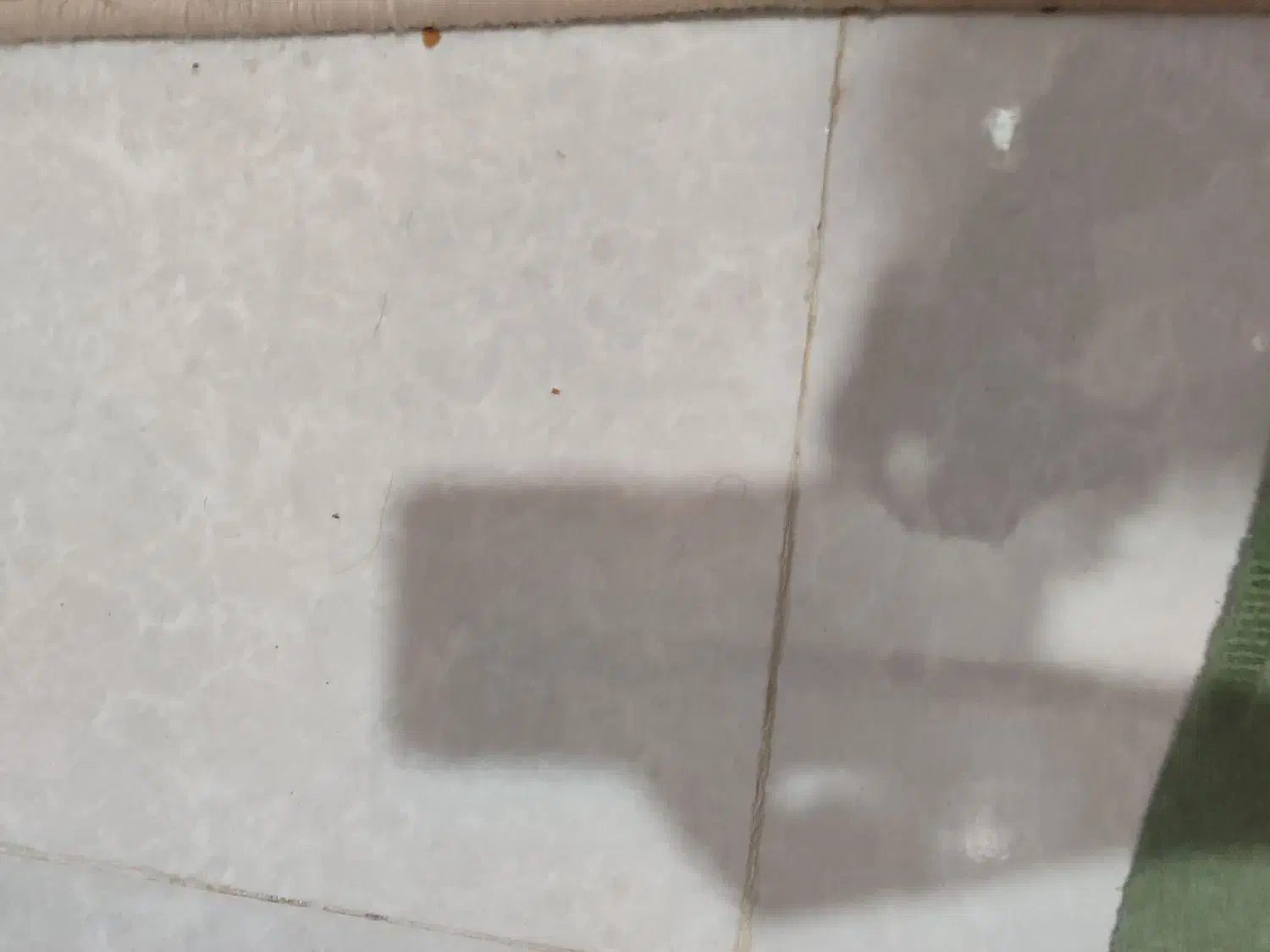 زمین کشاورزی|فروش زمین و ملک کلنگی|ریگ, |دیوار