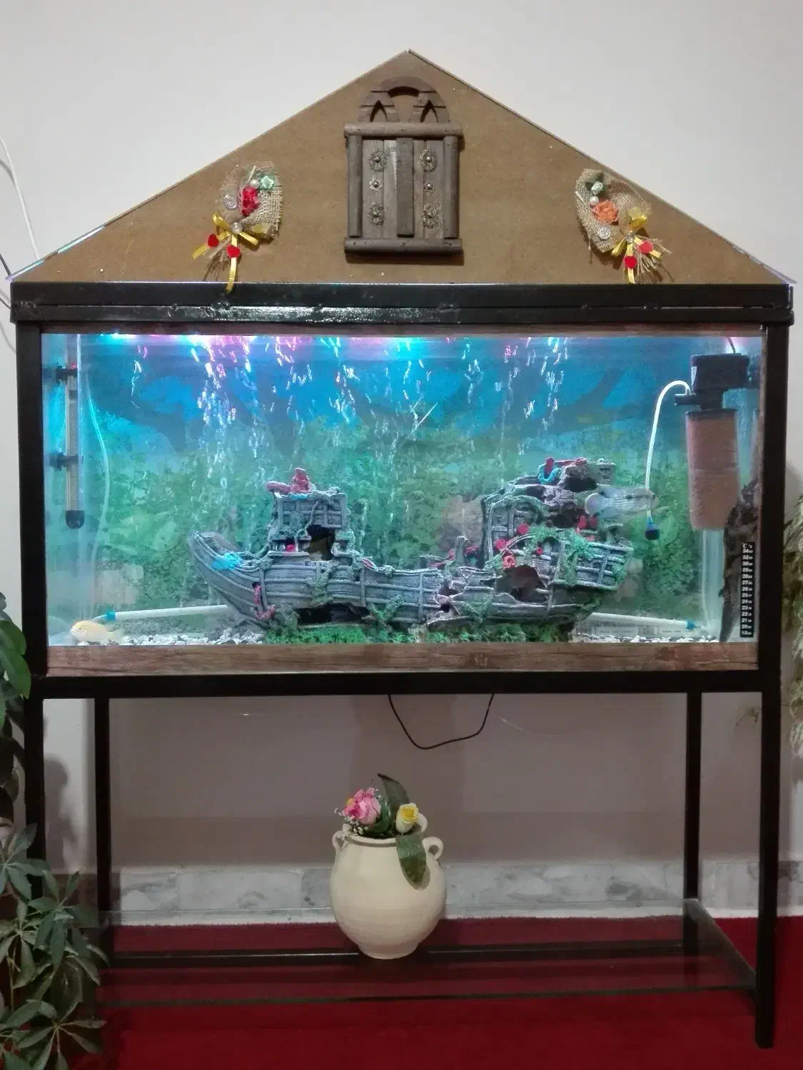 آکواریوم|ماهی|آشخانه, |دیوار