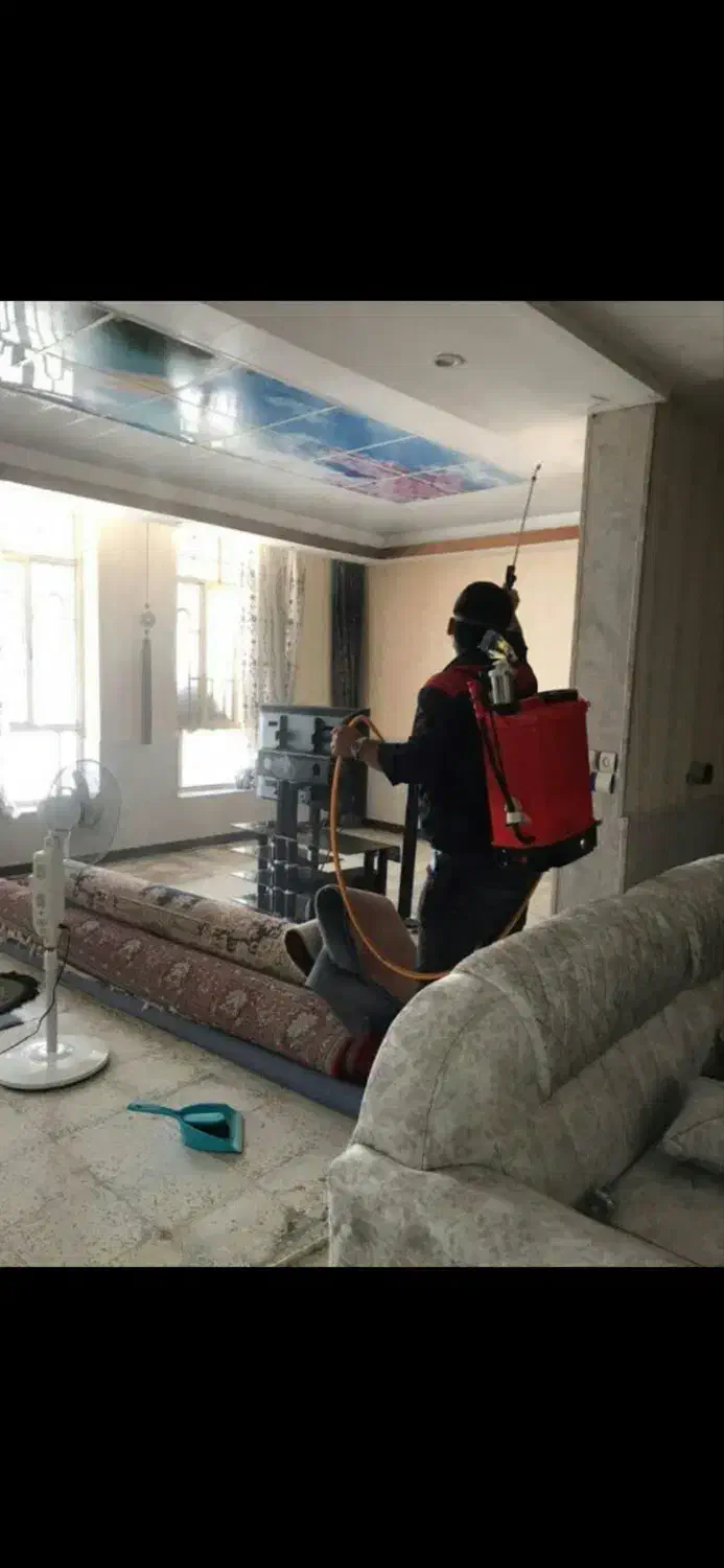 موریانه زدایی با ضمانت کتبی وسمپاشی تخصصی ساس|خدمات نظافت|دزفول, |دیوار