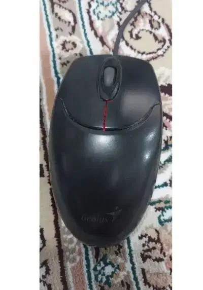 موس و کیبورد بسیار تمیز و ارزان|قطعات و لوازم جانبی رایانه|شهرکرد, |دیوار