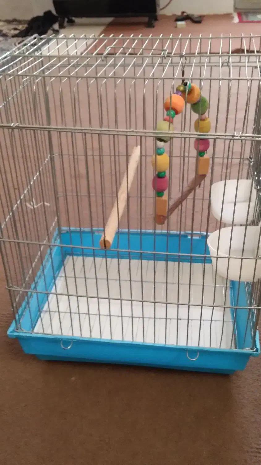 قفس طوطی،مینا...|لوازم جانبی حیوانات|چهارباغ, |دیوار