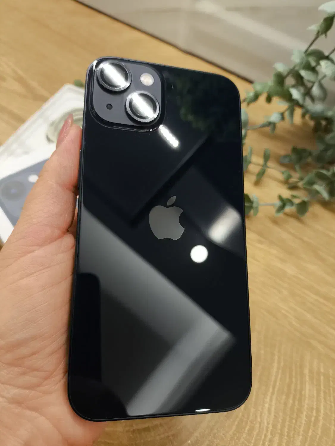 iphone 13 normal|موبایل|رشت, معلم|دیوار