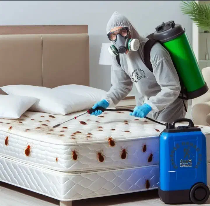 سم پاشی منازل سمپاشی اماکن|خدمات نظافت|محمدشهر, محمدشهر|دیوار