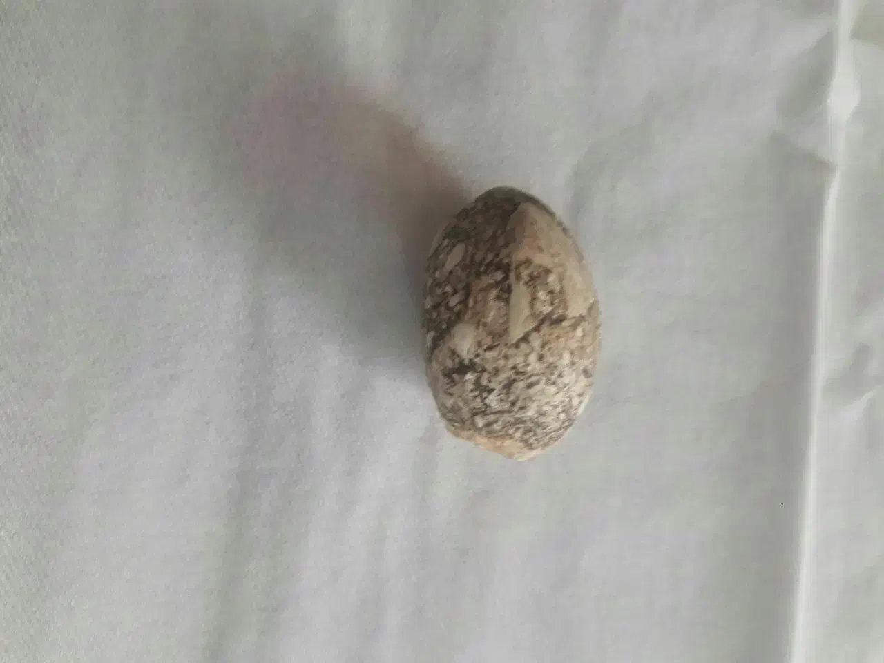 سنگ مهره تیربند جنس مخالف اصل اصل|بدلیجات|اهواز, بهشت آباد|دیوار