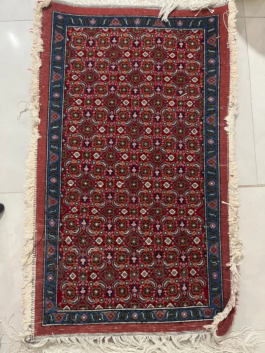 فرش پادری دستبافت|فرش|اردبیل, |دیوار