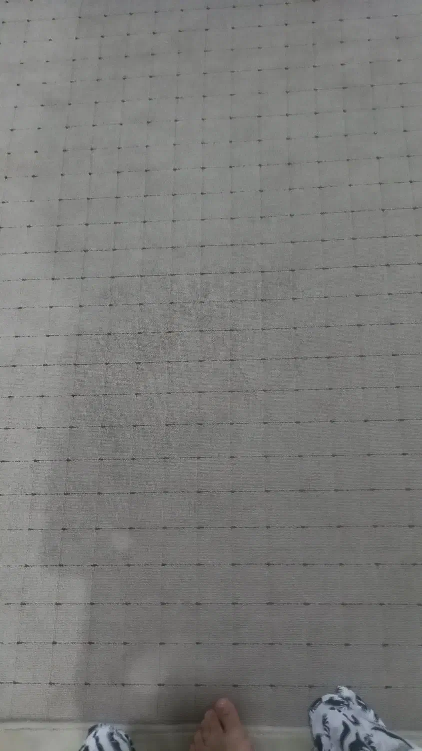 پالاز موکت|موکت|بروجرد, |دیوار