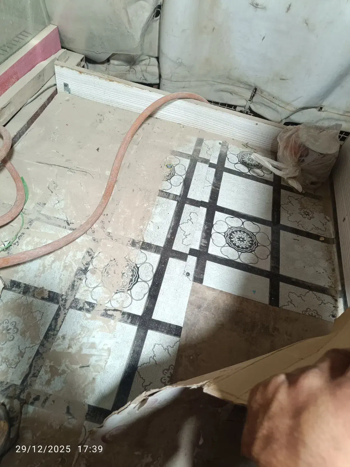 میزفلافلی|فروشگاه و مغازه|سراوان, |دیوار