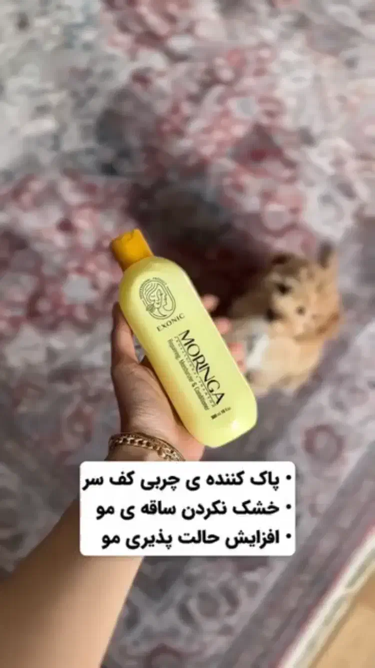 شامپو مورینگا|آرایشی، بهداشتی، درمانی|اصفهان, فیض|دیوار