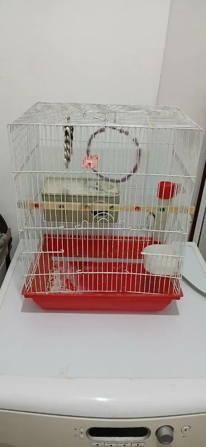 قفس پرنده|لوازم جانبی حیوانات|سنندج, |دیوار