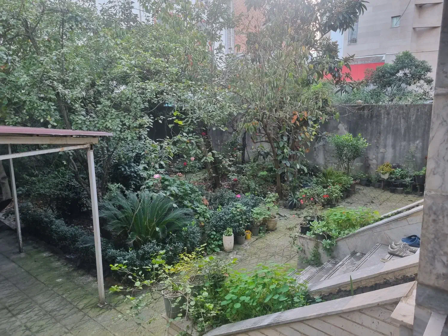 رفیق همیشگی(رهن ویلایی)|اجارهٔ خانه و ویلا|رشت, شالکو|دیوار