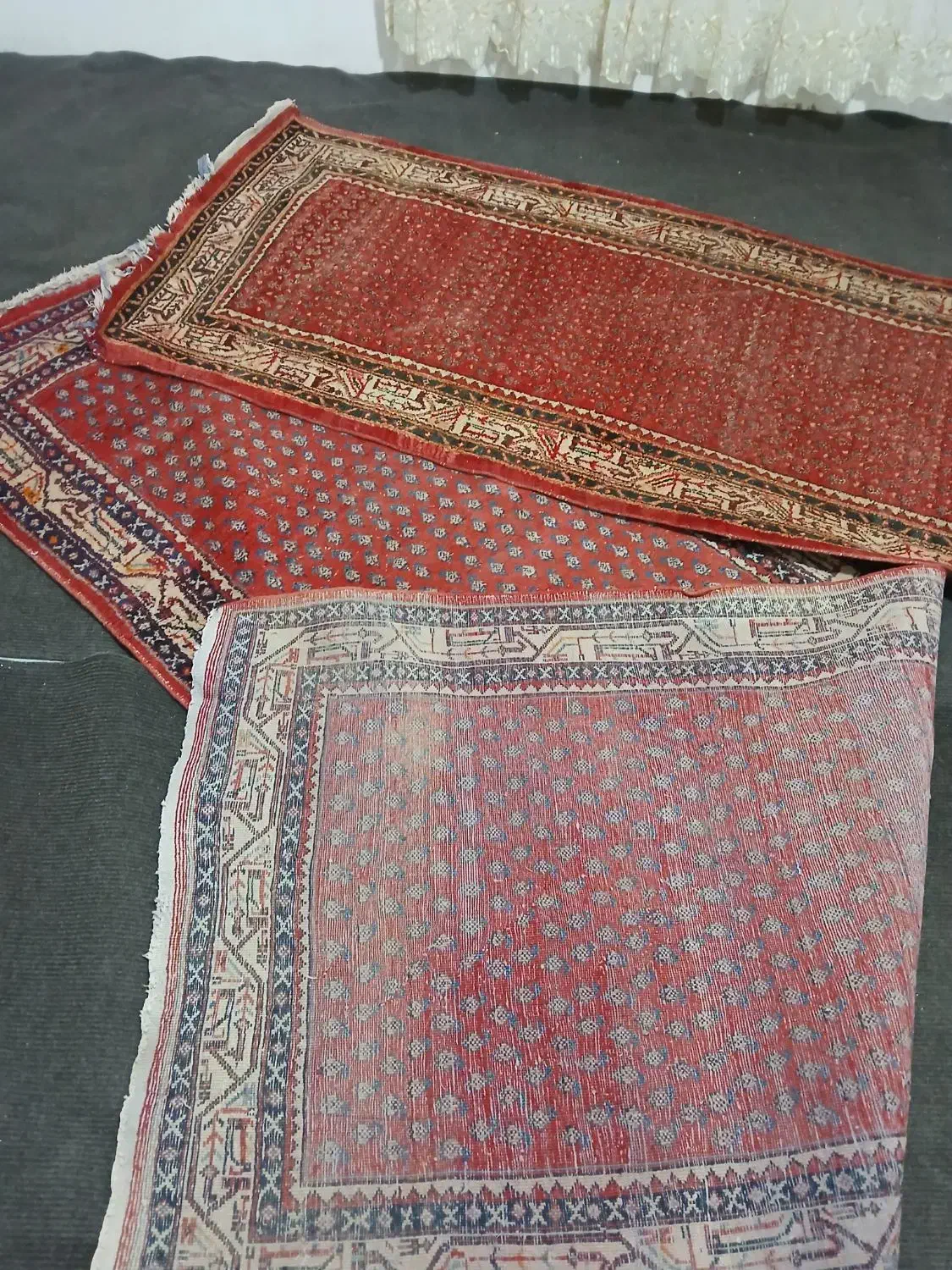 فرش دستبافت ۳متری|فرش|اراک, |دیوار