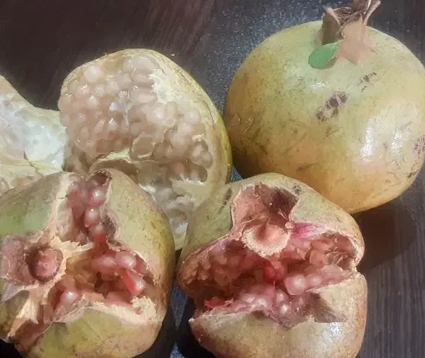 انارنوبرانه|خوردنی و آشامیدنی|قم, آزادگان|دیوار