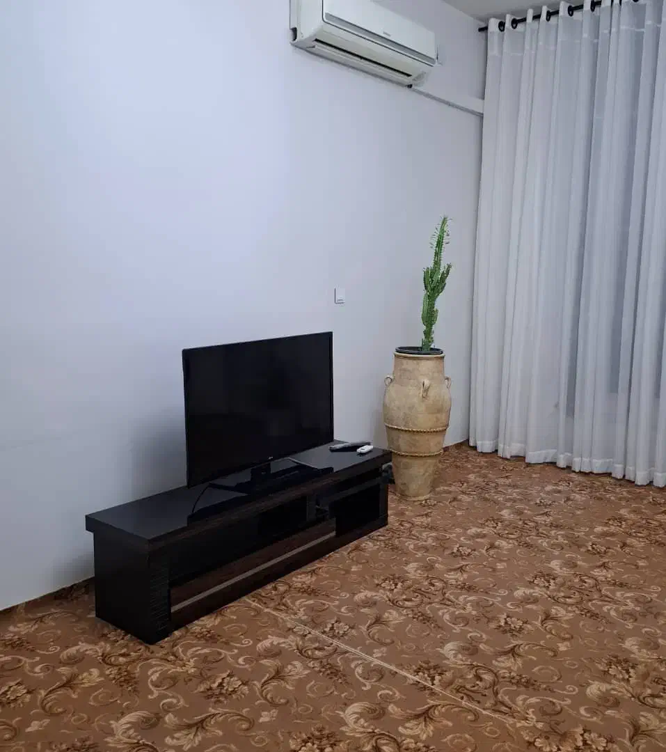 موکت پالاز تمیز و سالم|موکت|فسا, |دیوار