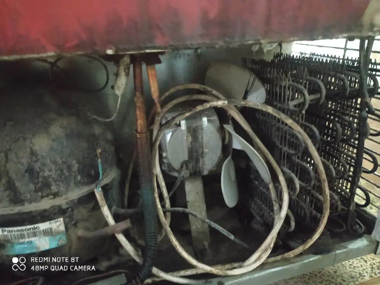 فریزر|یخچال و فریزر|تربت جام, معدآباد|دیوار