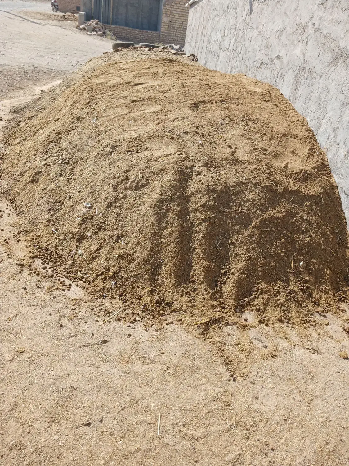 کودگوسفندی|گل و گیاه طبیعی|کاشان, فاز ۱ ناجی آباد|دیوار