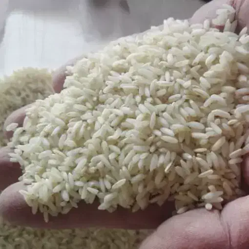 برنج لنجان|خوردنی و آشامیدنی|زاینده رود, |دیوار